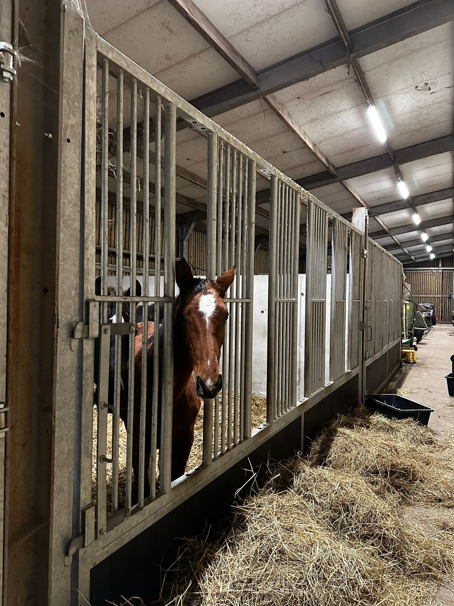 Draaibare voerwanden te Stekene - afbeelding 1