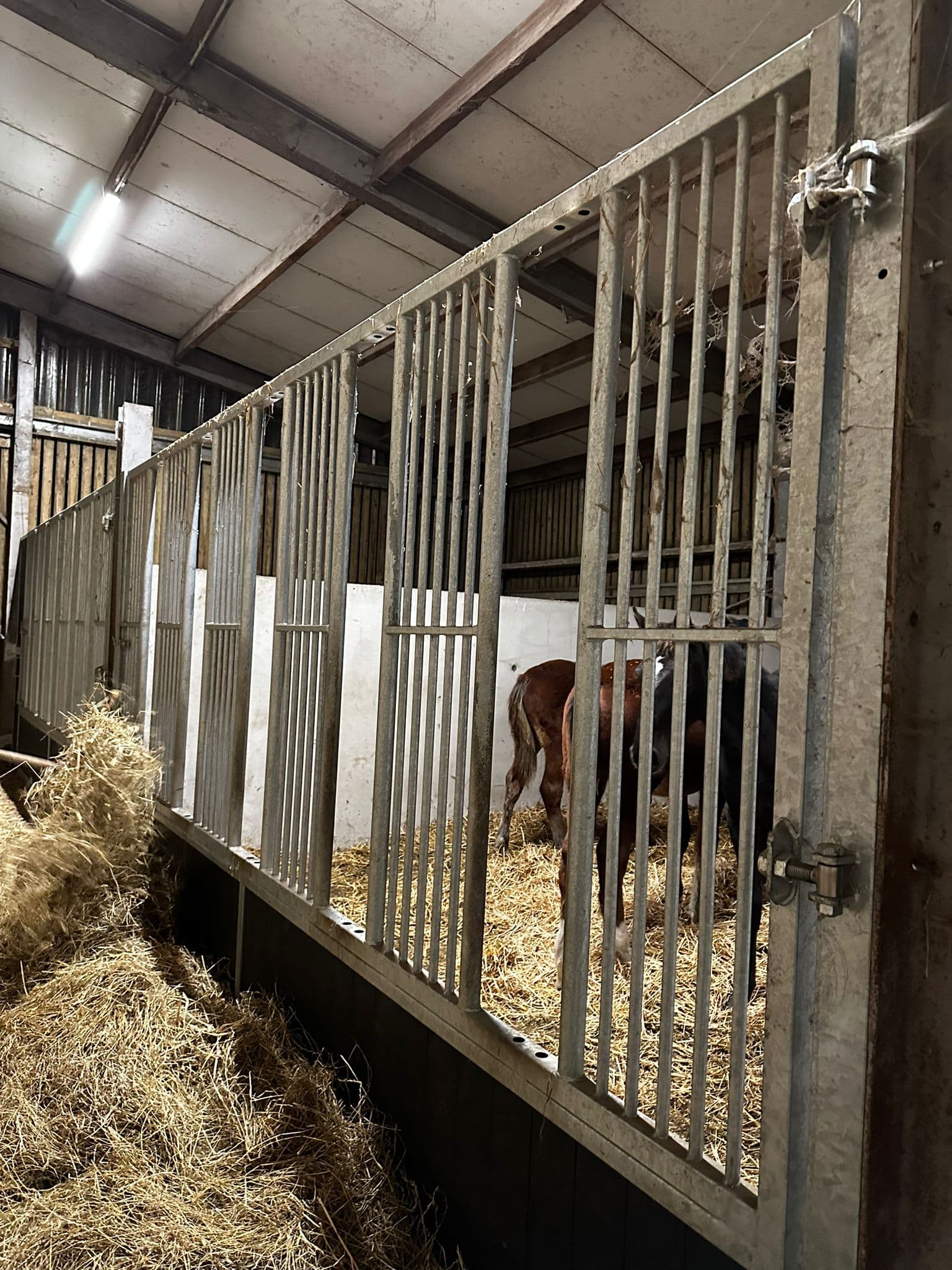 Draaibare voerwanden te Stekene - afbeelding 2