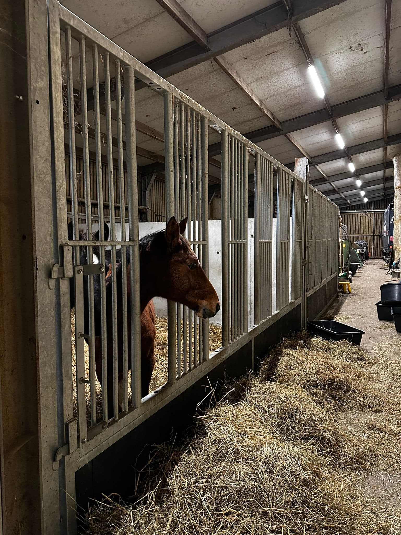 Draaibare voerwanden te Stekene - afbeelding 3