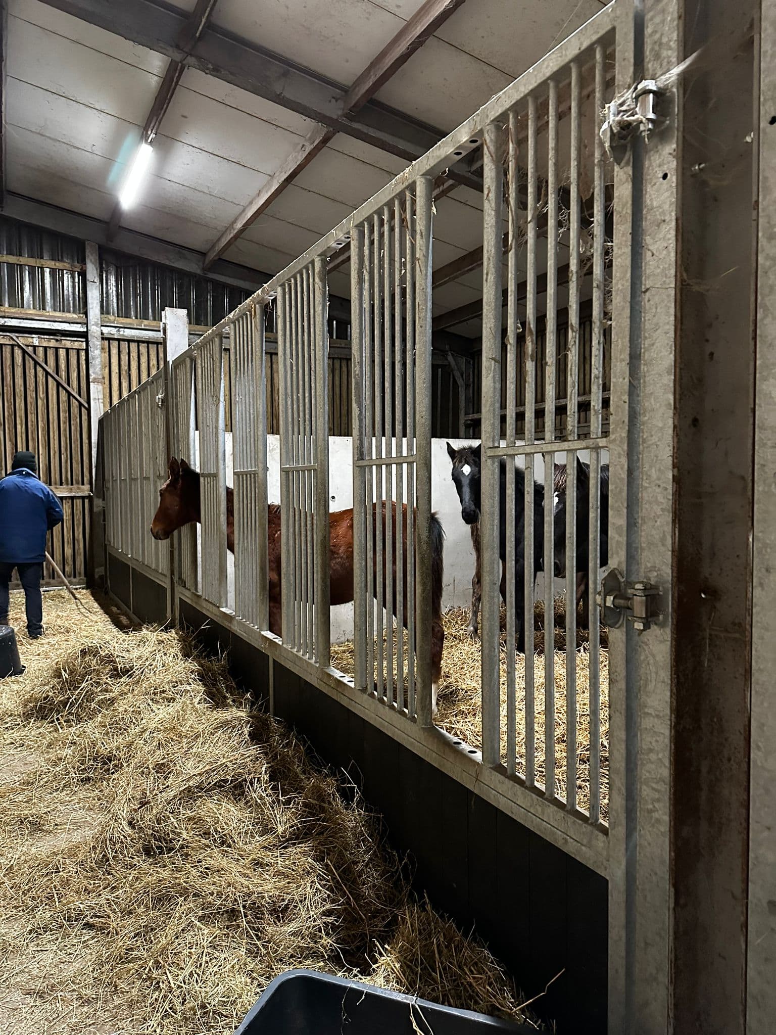 Draaibare voerwanden te Stekene - afbeelding 4