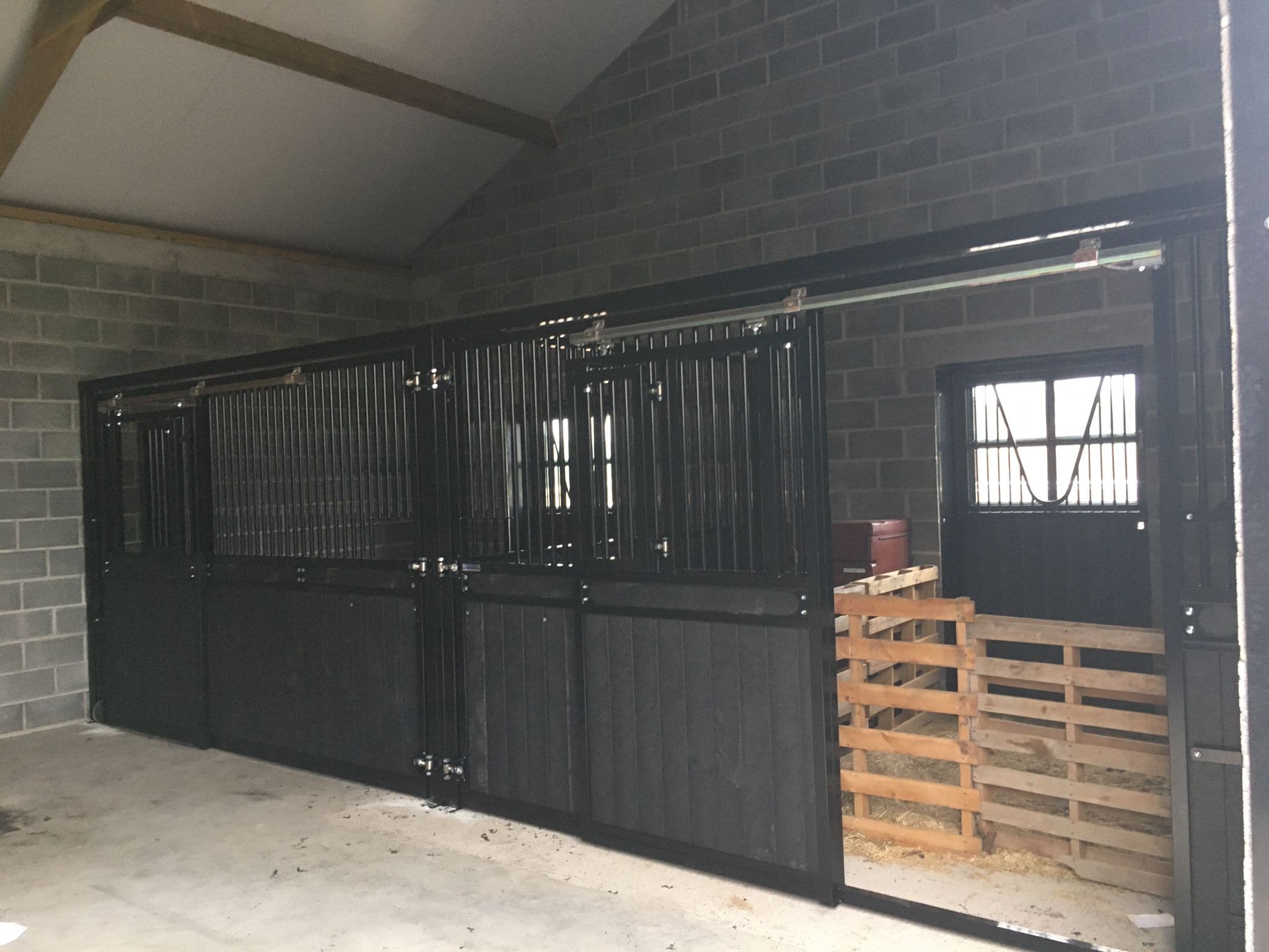 Dierenartsenpraktijk A&M te Bever - afbeelding 8