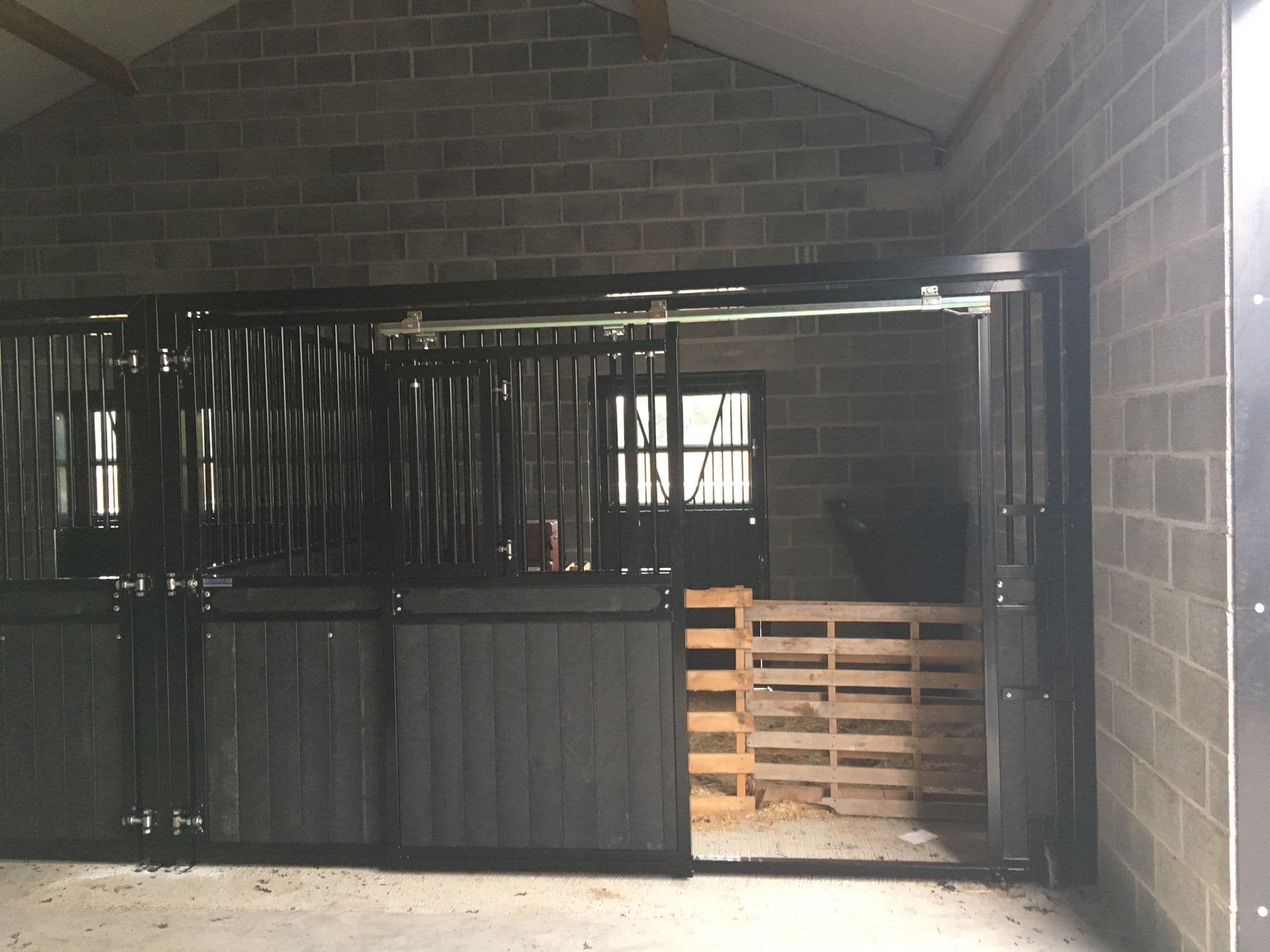 Dierenartsenpraktijk A&M te Bever - afbeelding 10