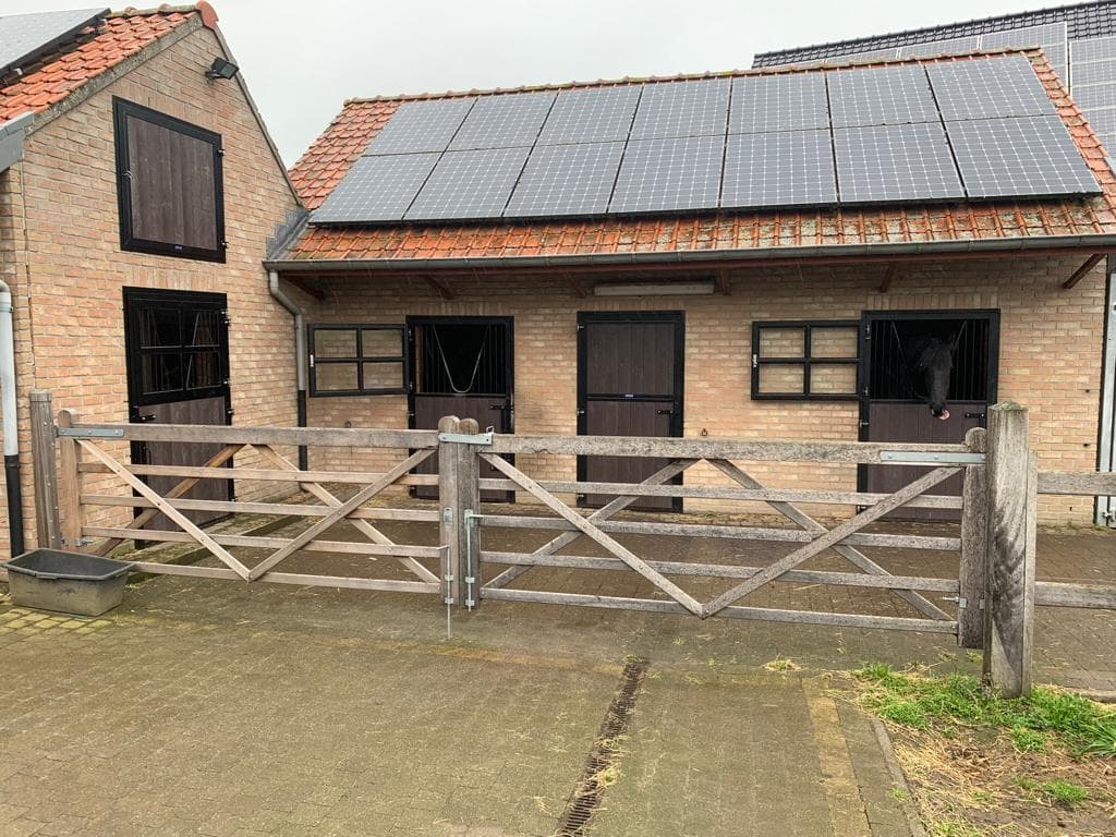 Ramen en deuren te Vrasene - afbeelding 1