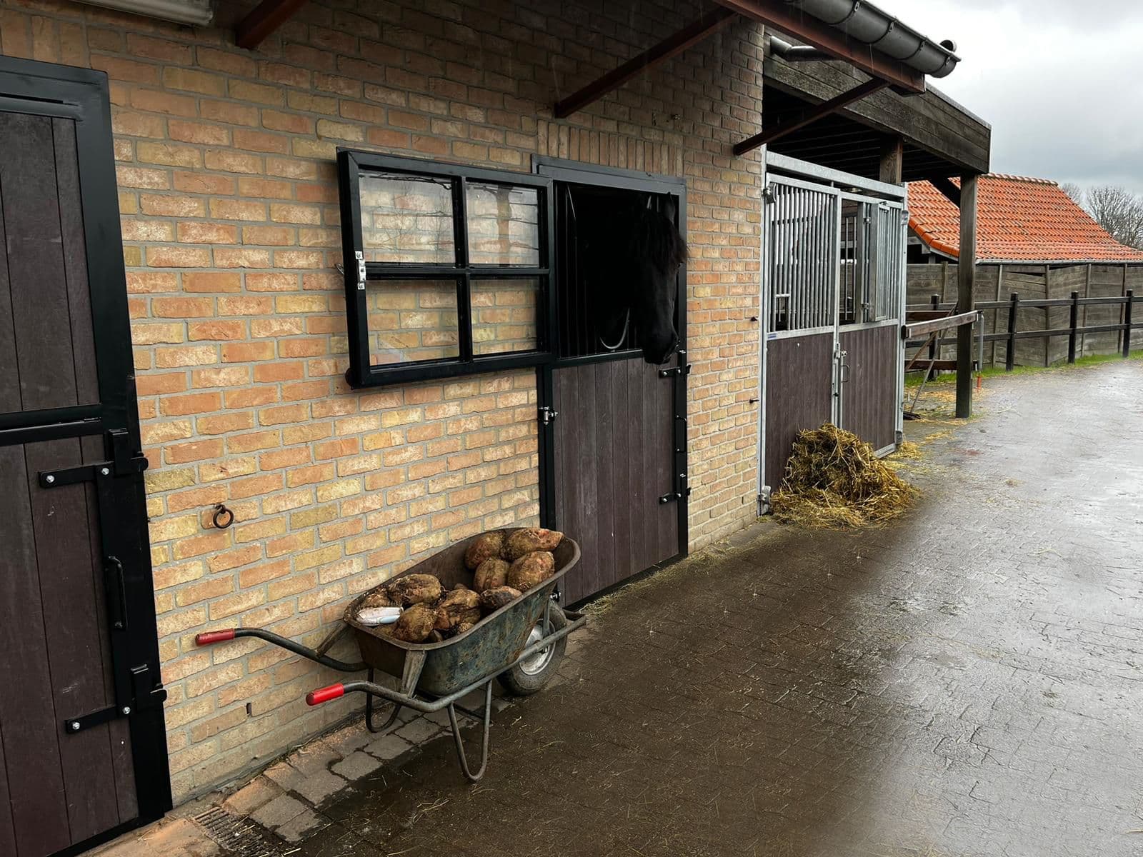 Ramen en deuren te Vrasene - afbeelding 5