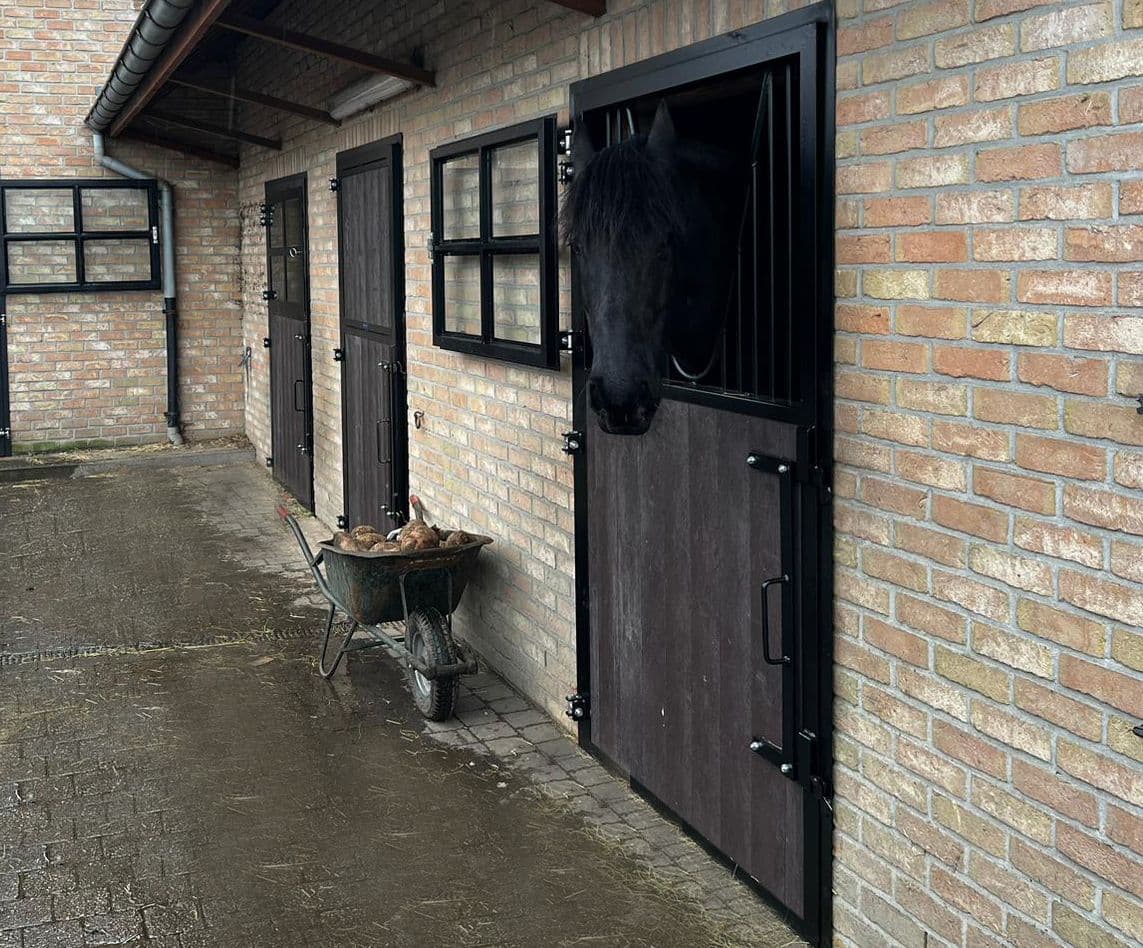 Ramen en deuren te Vrasene - afbeelding 6