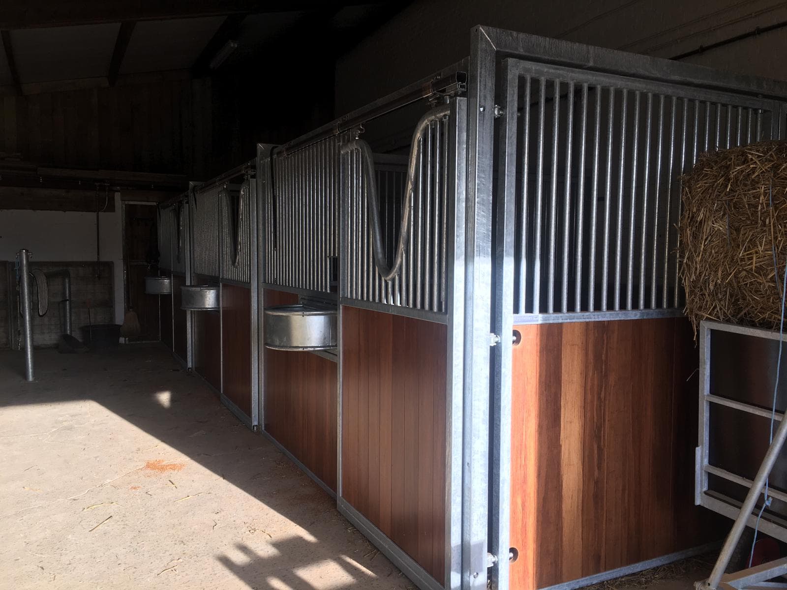 Ecurie De Mille te Beauvechain - afbeelding 1