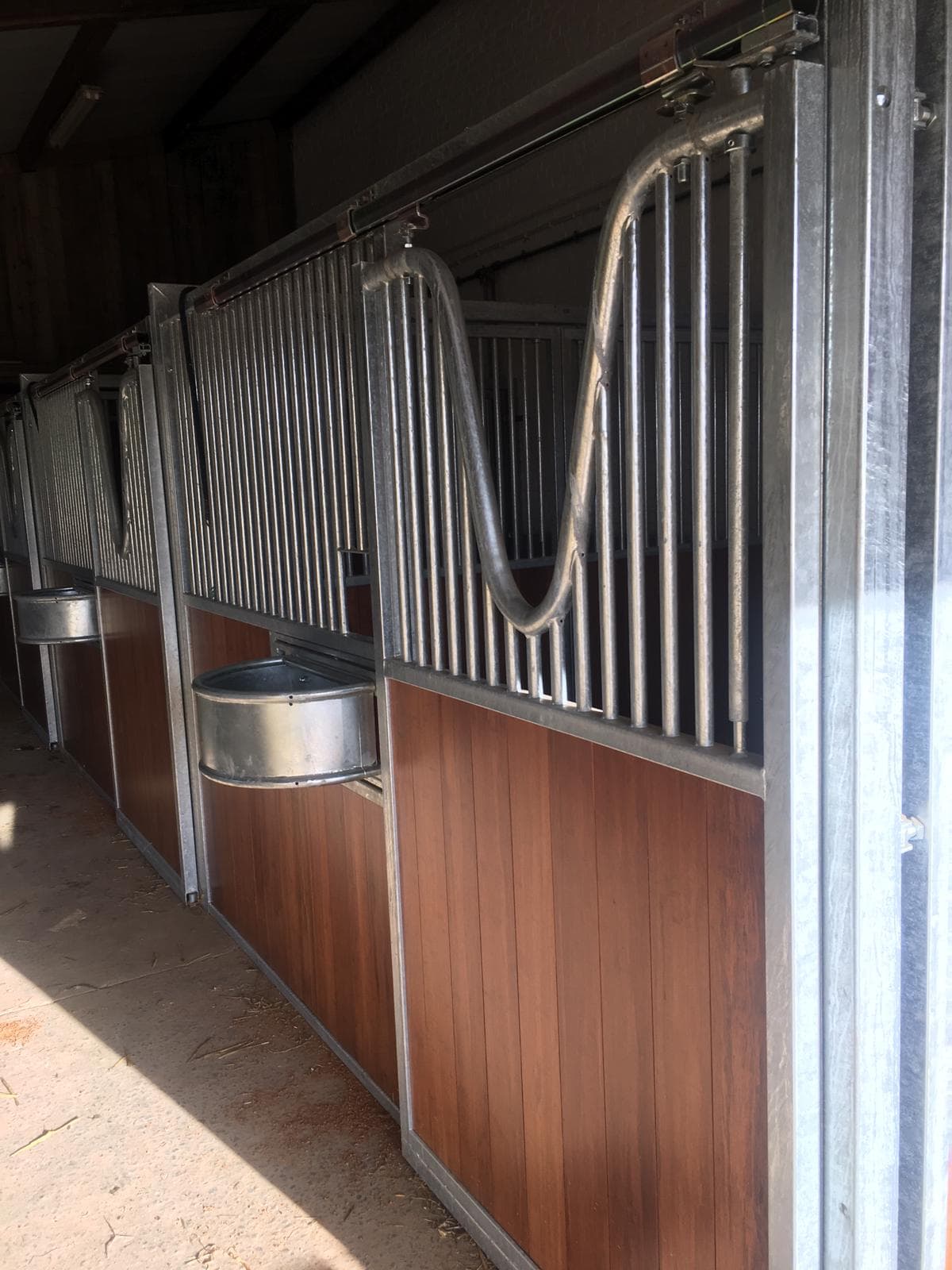 Ecurie De Mille te Beauvechain - afbeelding 2