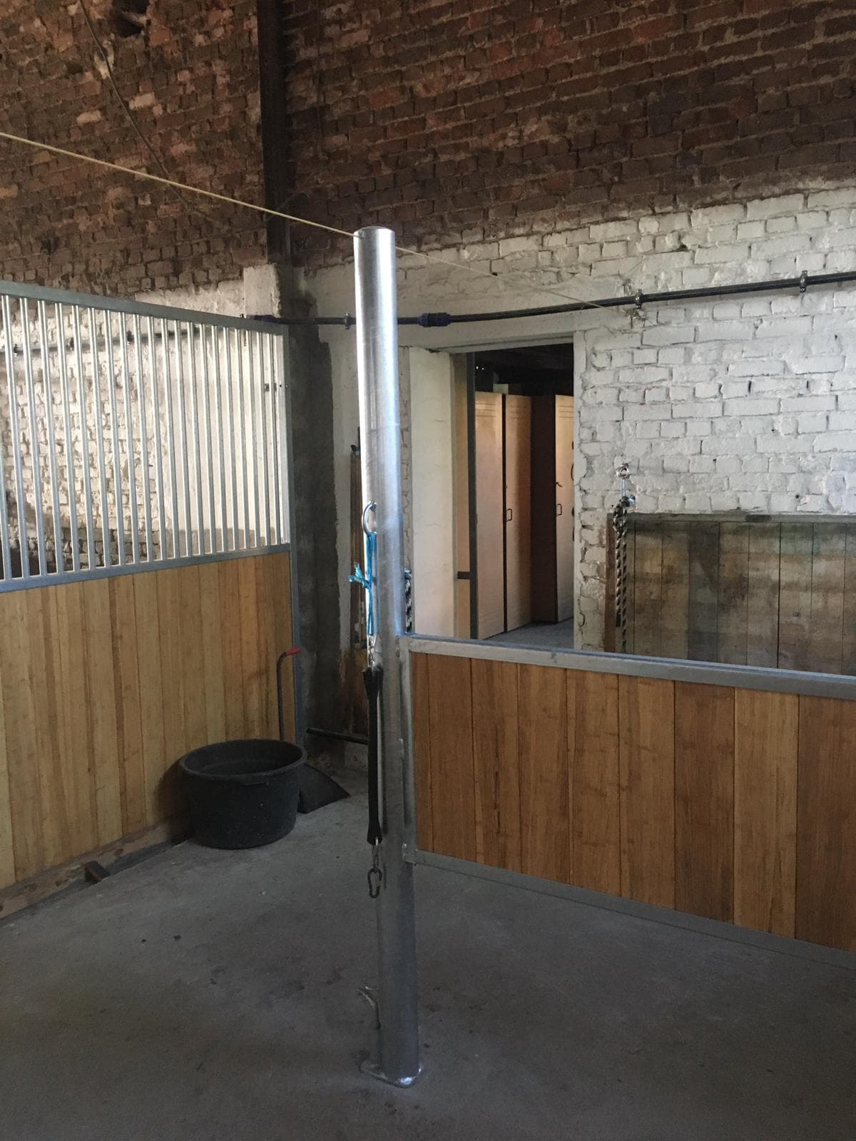 Ecurie De Mille te Beauvechain - afbeelding 4