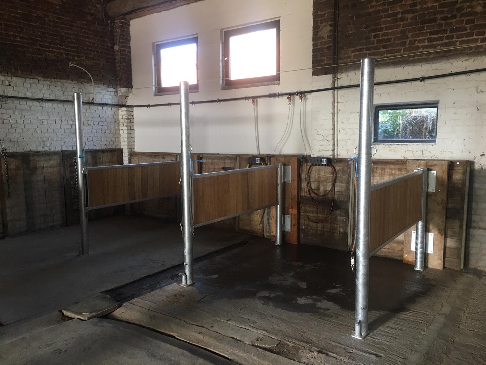 Ecurie De Mille te Beauvechain - afbeelding 5