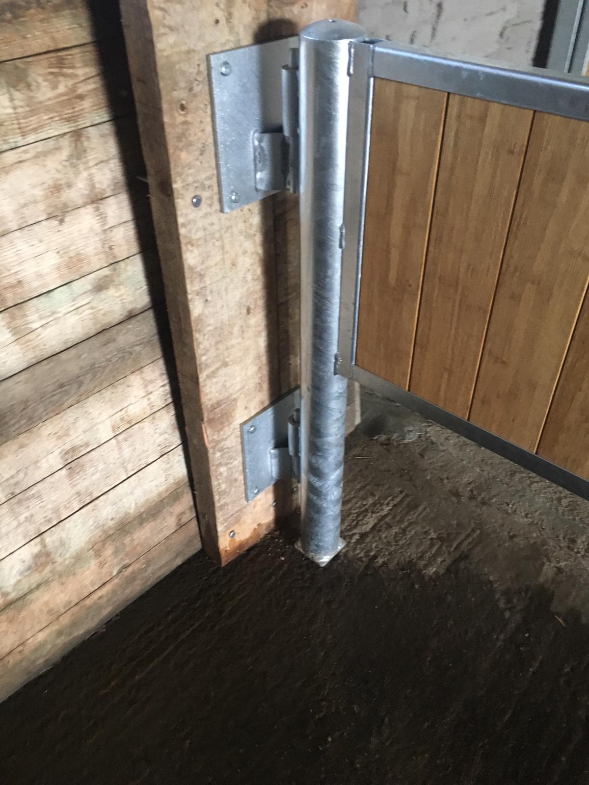 Ecurie De Mille te Beauvechain - afbeelding 6