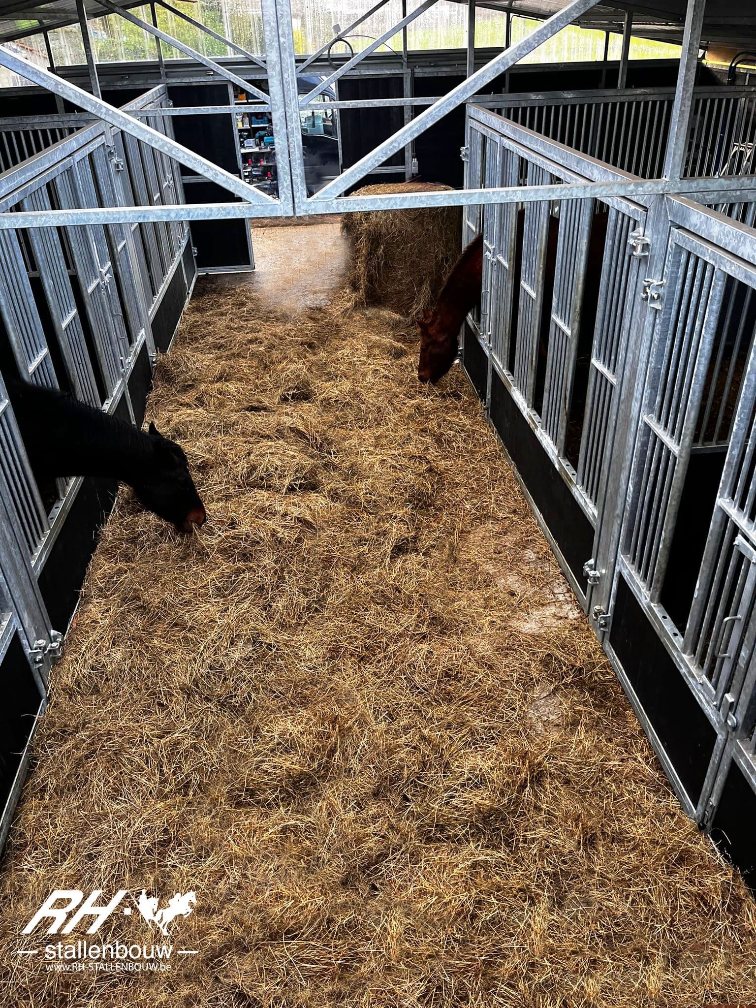 Systeemstal met een lichtstraat te Temse - afbeelding 6