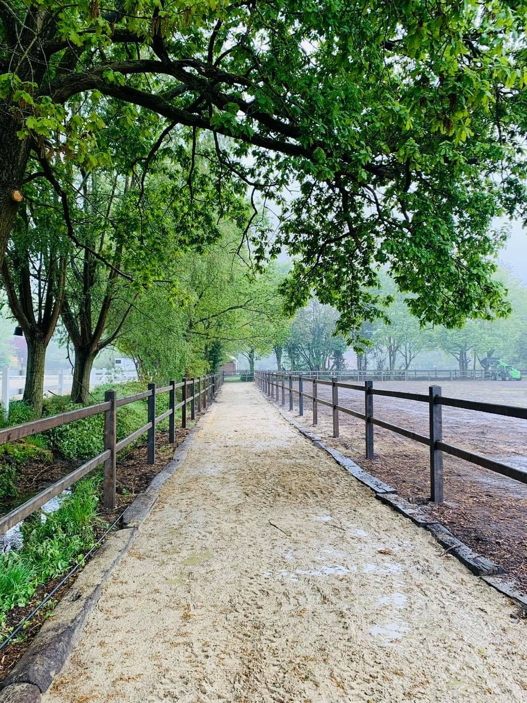 Paardenstal te Belsele - afbeelding 2