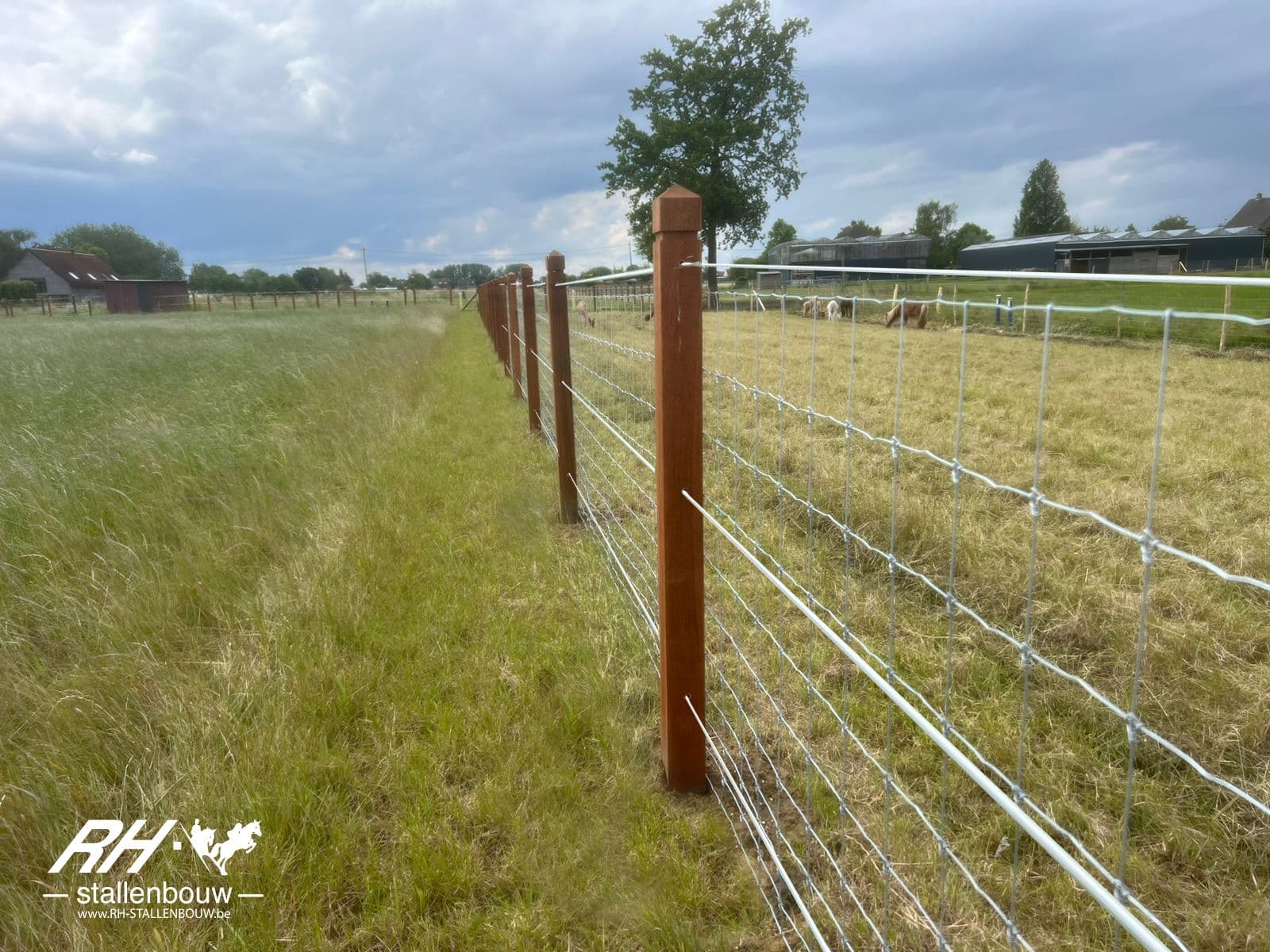 Hardhouten omheining te beveren - afbeelding 4