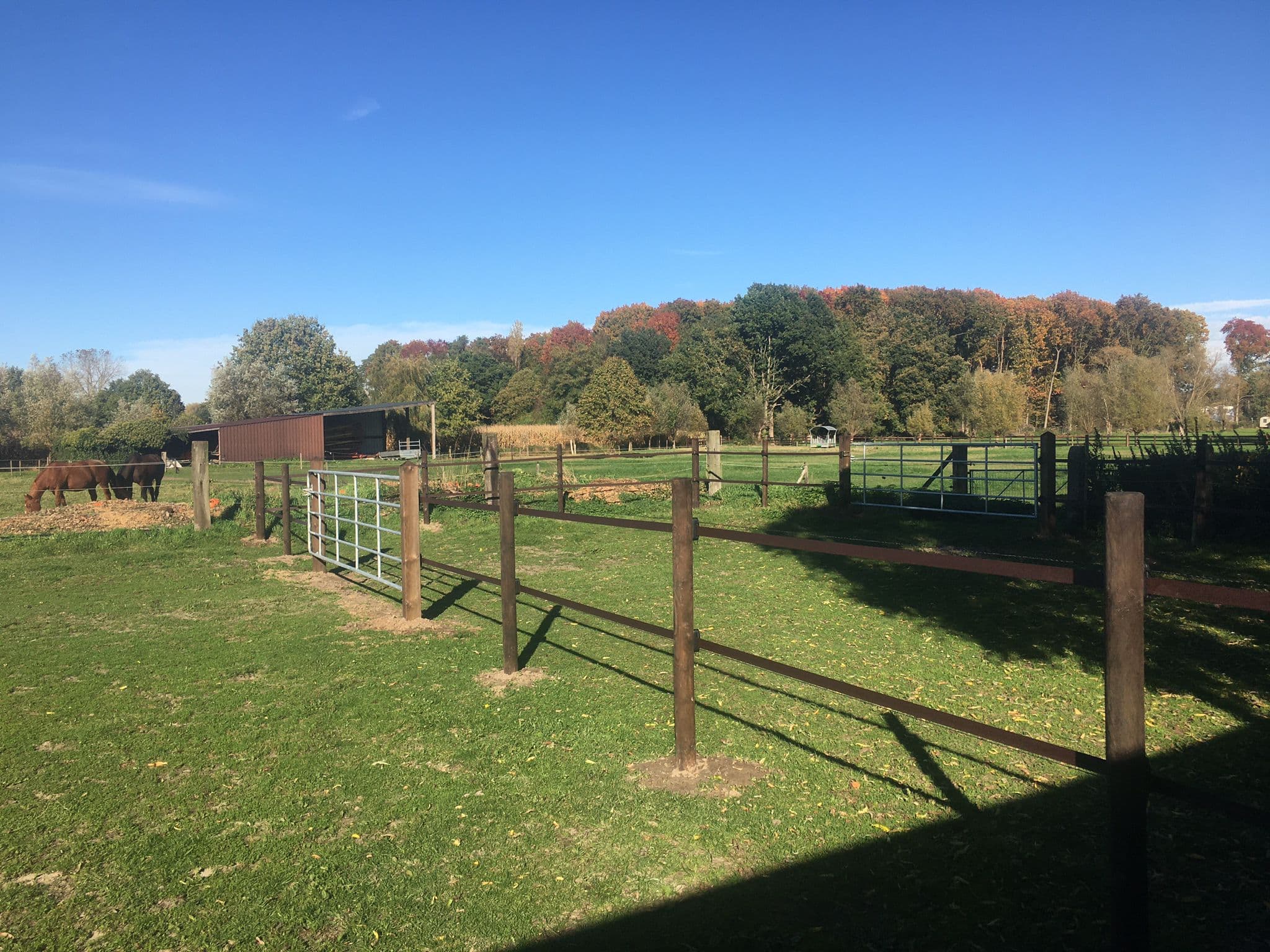 Hippo Safety Fence te Boortmeerbeek - afbeelding 2