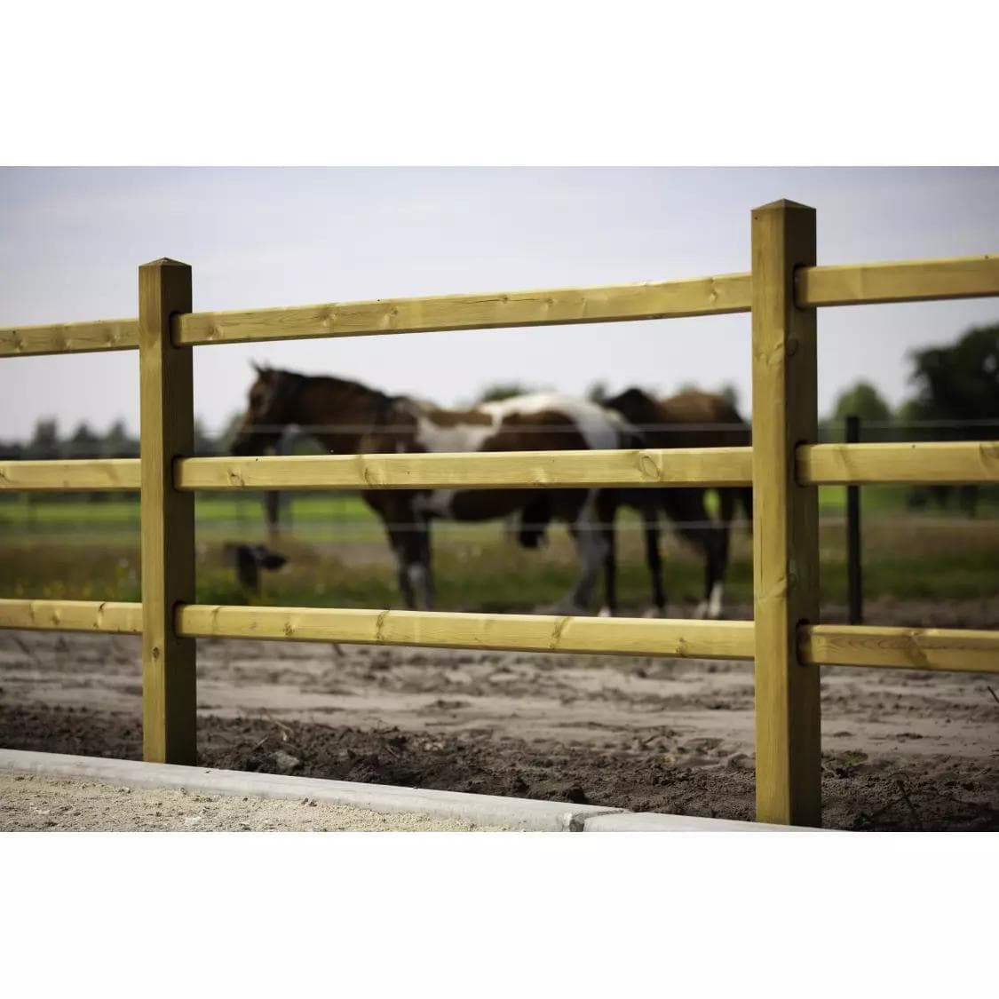 Tanalith E omheining 3 liggers